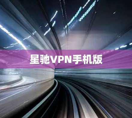 星驰VPN手机版