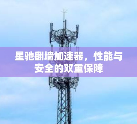 星驰翻墙加速器,性能与安全的双重保障