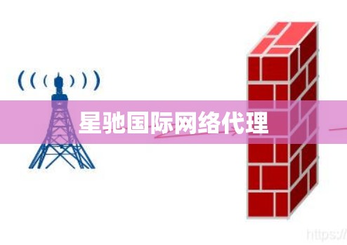 星驰国际网络代理
