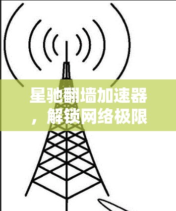 星驰翻墙加速器,解锁网络极限,突破地域限制
